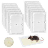 Qualirey 12 Pack Mouse Glue Traps front view with white design