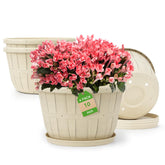 Quarut 10 inch flower pot beige front view