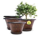 Quarut 12 Inch Flower Pot in diamond pattern, brown colour, front view