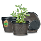 Quarut 6 Inch Flower Pot front view with modern circle pattern