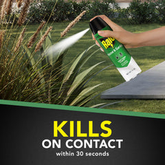 Raid Bug Killer Spray with label details visible