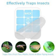 Raindot Fly Trap Refill being installed in a fly trap