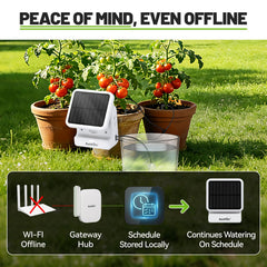 RAINPOINT solar-powered watering system setup in garden