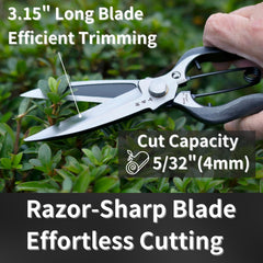 RANSHOU Leaf Trimming Scissors in use trimming hedges