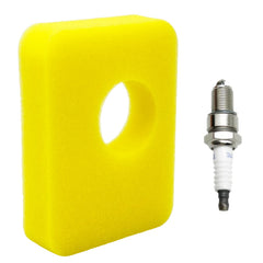 RayTour Air Cleaner Replacement Foam Filter 799579 front view