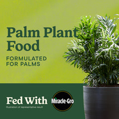 Rear view of Miracle-Gro Shake 'N Feed Palm Plant Food packaging