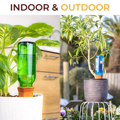 Reifier Self Watering Spikes in use with a bottle