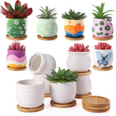 Remerry 12 Pcs Mini DIY Ceramic Succulent Pots with bamboo trays