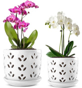REMIAWY Orchid Pot large ceramic planter with drainage holes