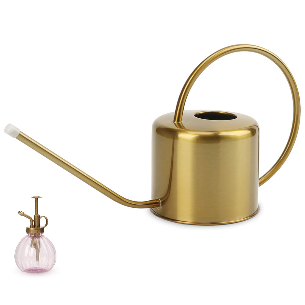 REMIAWY stainless steel watering can front view with long spout
