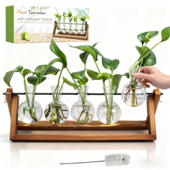 Renmxj Plant Propagation Station with 5 glass bulb vases and wooden stand