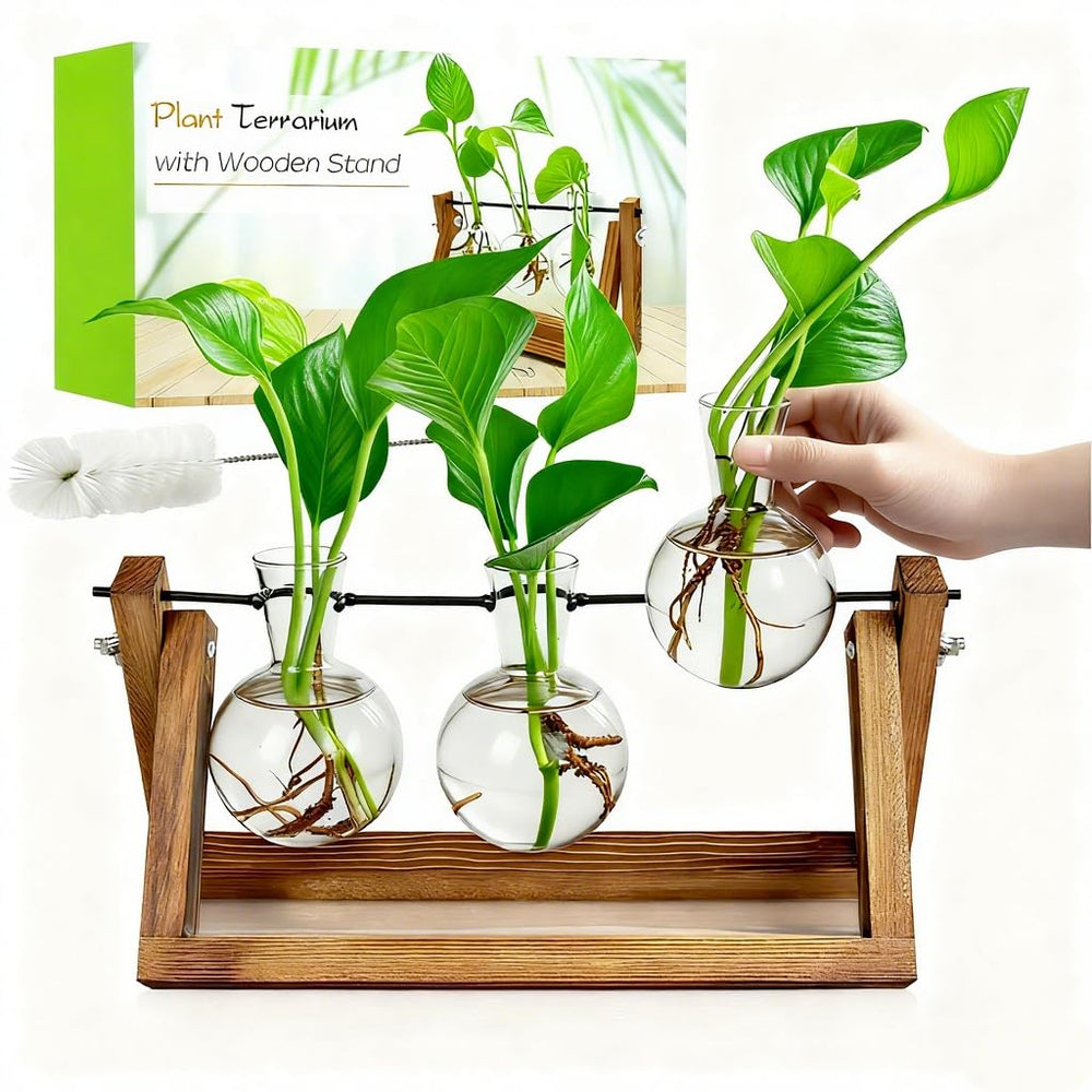 Renmxj Plant Propagation Station wooden stand with three bulb glass vases