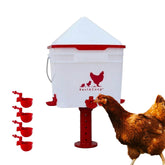 RentACoop 2 Gallon Chicken Waterer front view with auto-fill cups
