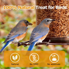 Resealable bag of HATORTOP Dried Mealworms