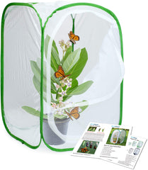 RESTCLOUD butterfly habitat cage front view, white with green accents
