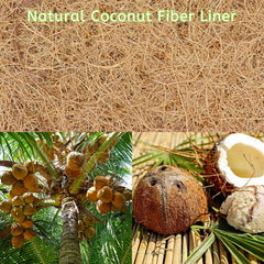 Riare 14 inch coco liner in a hanging basket setup