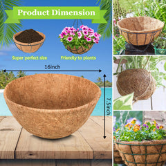 Riare coco liners placed inside a hanging basket