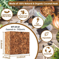 Riare coconut coir chips bricks compressed size