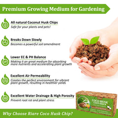 Riare Organic Coco Coir Chips 8 x 4 x 1.8 inches brick close-up