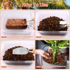 Riare Organic Coco Coir Chips bricks expanding in a container