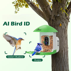 RichBird Bird Feeder with Camera, mounted on a tree