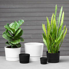 Root & Vessel Majestic Pot with removable drainage tray