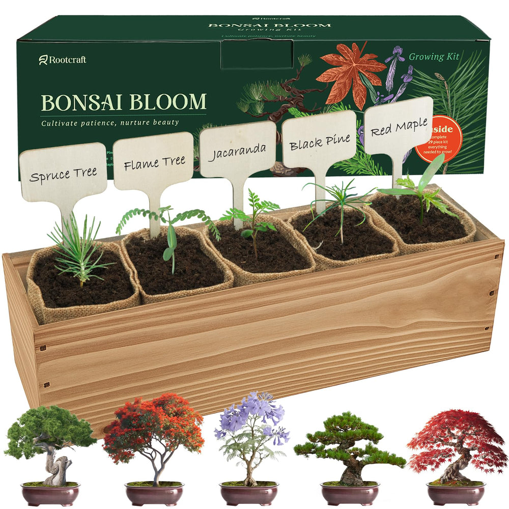 ROOTCRAFT DIY Bonsai Tree Kit packaging with various tools and seeds