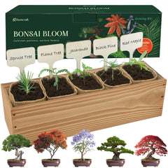 ROOTCRAFT DIY Bonsai Tree Kit packaging with various tools and seeds