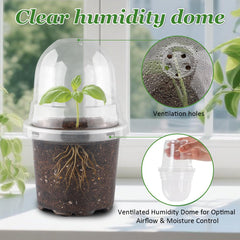 RooTrimmer 4 Inch Clear Nursery Pot with drainage holes
