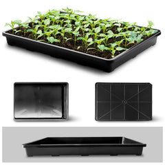 RooTrimmer black potting tray with seedlings