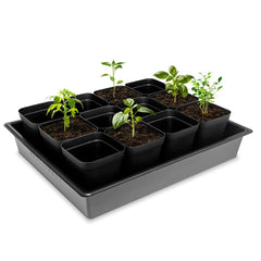 RooTrimmer Seed Starter Tray with seedlings planted