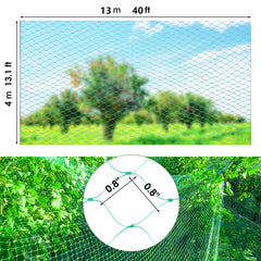 Ruolan Bird Netting installed over blueberry plants