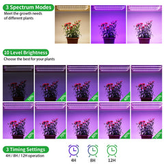 RWNTAO grow light with full spectrum LEDs close up