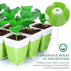 Ryscam seed starter kit with planting gadgets and labels