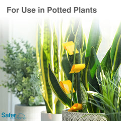 Safer Houseplant Sticky Stakes inserted into potted plants in home setting