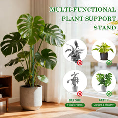 sanzkjic plant support stakes in use with monstera