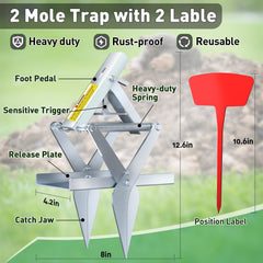 Schadro mole trap set in active mole tunnel for easy capture