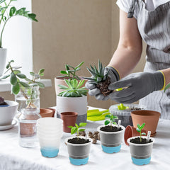 Sckee Clear Nursery Pots and plant labels on table