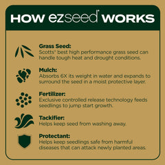 Scotts EZ Seed Patch & Repair seeded lawn close-up
