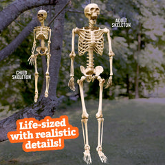 SCS Direct Halloween child skeleton 3' front view
