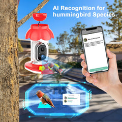 SECUHOME hummingbird feeder with camera installed in garden