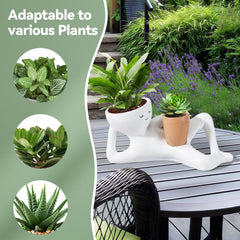 Sederikun Lazy Guy Plant Pot on a desk with plants