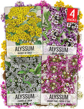 Seed Needs Alyssum Seeds Variety Pack front view with mixed flower illustrations