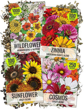 Seed Needs Butterfly Garden Variety Pack of 4 flower seeds front view