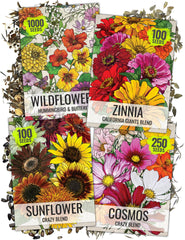 Seed Needs Butterfly Garden Variety Pack of 4 flower seeds front view