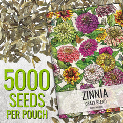 Seed Needs Crazy Zinnia Seeds back view showing sowing instructions
