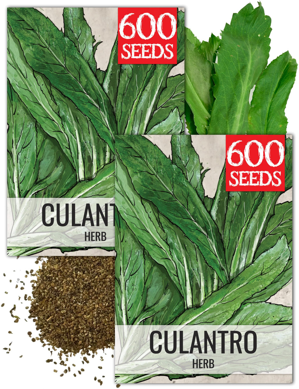 Seed Needs Culantro herb seeds packet front view