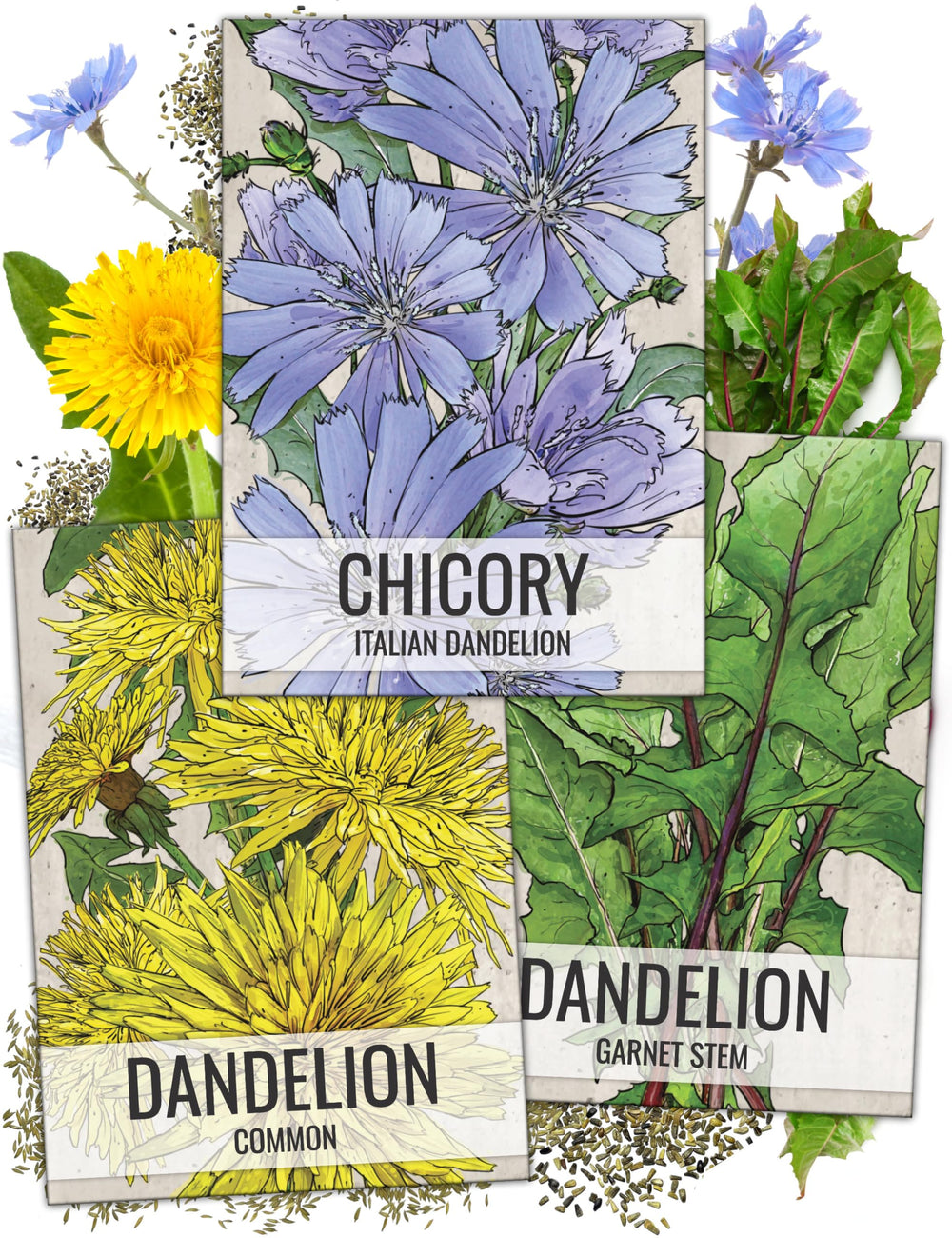 Seed Needs Dandelion Seeds Variety Pack front view with illustrations