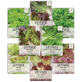 Seed Needs Lettuce Seeds Variety Pack front view with illustrations