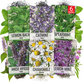 Seed Needs Medicinal Herb Seeds Variety Pack front view